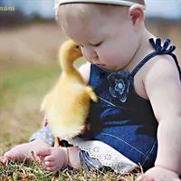 gosheto biar behet begam