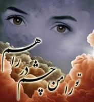ندارد
