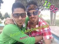 aaaa
