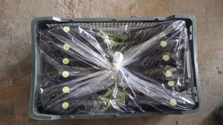 محصولات کشاورزی 