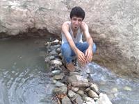 اطراف پارک جنگلی گلستان