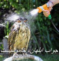 javabe ablahan!!