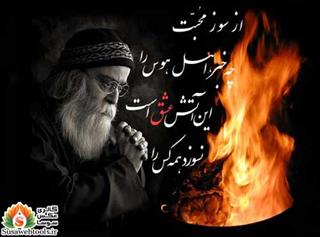 هر كس اهل دوستي وارد بشه