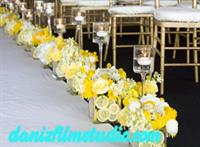 danizfilmstudio.com