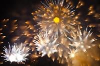 ..........