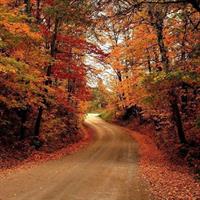������ ���� ������ ������ ���������� �������� ���� ���������� ����������