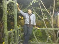 chi begam