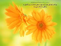 ثمره تلاش در كودكي و پاداش آن در بزرگ سالي