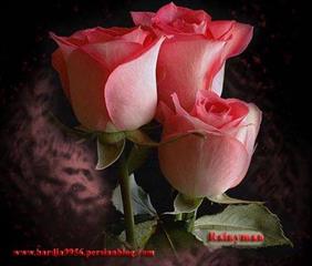 بررسی و تصحیح شعر...فروش شعر .سرگرمی مفید