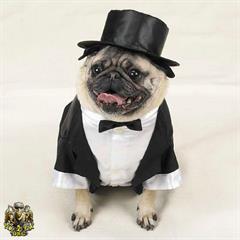 افرادی که شکست؟