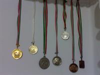 inam medalaye karate dar keshvari va ostani-40ta hokmdaram ke nemishe gozasht heee enshala dar vooshooham medal kasb mikonam