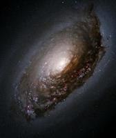 siah chaleie fazai