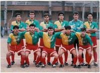ali karimi