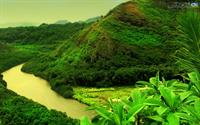 nature
