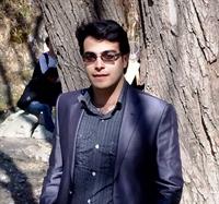 my picture in new year