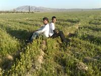 mano amirhesam :x