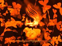حضرت زهرا سلام الله