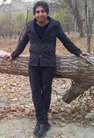 me on tree