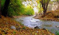 نمایی بسیار زیبا از پاییز دل انگیز شهرم
عکس از: علی معصومی