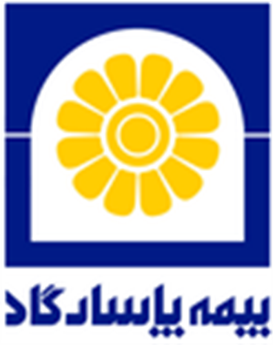 بیمه پاسارگاد ،بیمه برتر