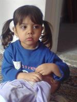 asise delam