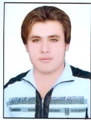 طرفداران وفا دار حسام