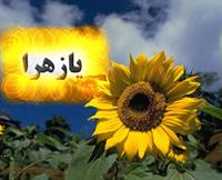 ã˜â¨ã˜â§ã˜âªã™â€ ã™â€¡ã˜â§ã›å’ã™â€¦ ã™â€¦ã˜â§ã™â€ ã˜â¯ã™â€¡ ã˜â§ã™â€¦ 