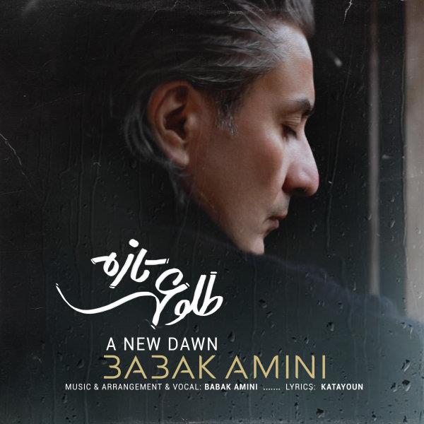 Babak Amini, Tolouei Taze