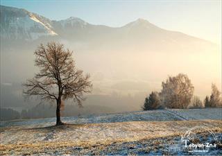 حفظ فرهنگ اصیل لر 