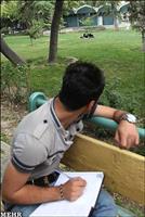 عکس الکی
