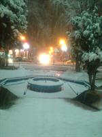 sardeeeee