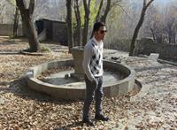 hamedannn