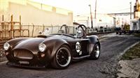 cobra