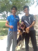 becha