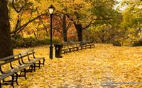 new-york