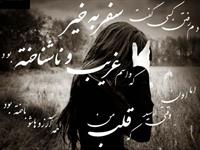 khaheshan faghat be in id ya mailam payam bedin ahmad_tiger_2005