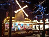 shab haye holland