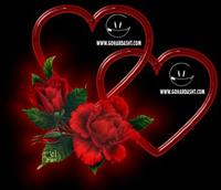 ذلب