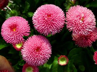 یا حسن مجتبی ادرکنی