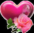 چه کلمات زیبایی