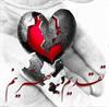 tagdim be hamsar mehraban va eshge dost dashtaniyem