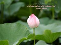 پاداش افطاري دادن به روزه دار همانند پاداش روزه دار است 