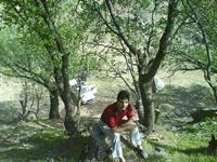 tabiat