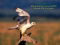 ارامش در زندگي