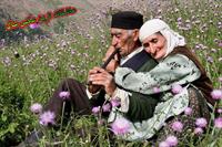 ای کاش همه تا این حد عاشق بی ریا بودند