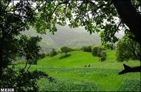 ایلام