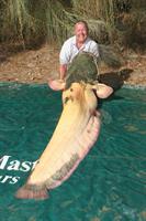 catfish