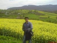 were is my love
