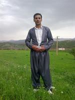 sardasht