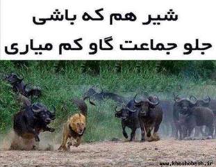 سایت گردشگری گیلانwww.igilan.com